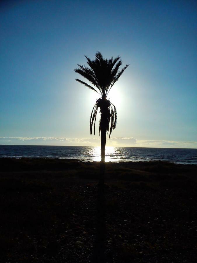 By Jonni Res. Chaparral Βίλα Costa Del Silencio Εξωτερικό φωτογραφία